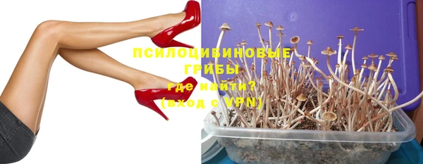 гидра Костерёво
