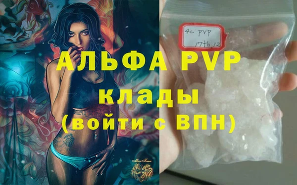 гидра Костерёво