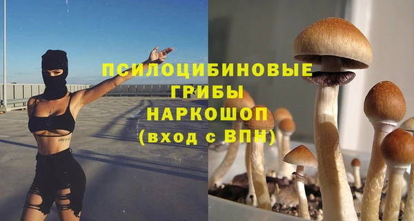 mdpv Красноперекопск