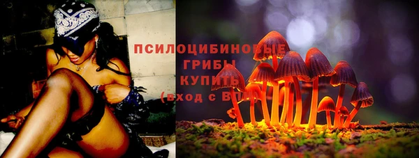 сатива Краснослободск
